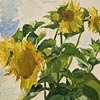 Plastov, Arkadi A., Prislonikha, Sunflowers. 1965